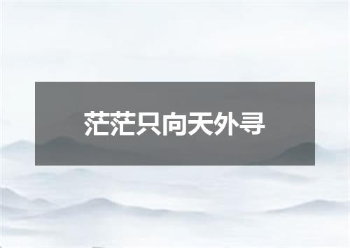茫茫只向天外寻