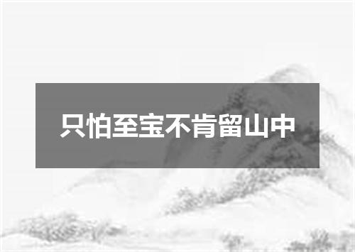 只怕至宝不肯留山中