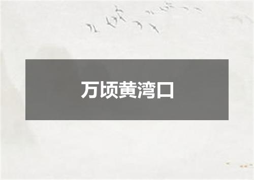 万顷黄湾口