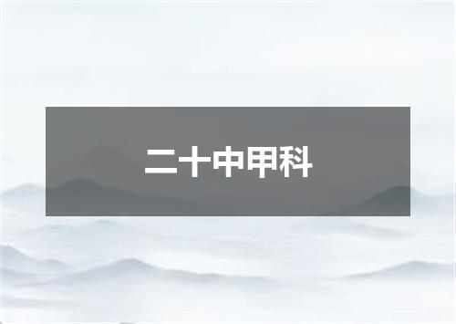 二十中甲科