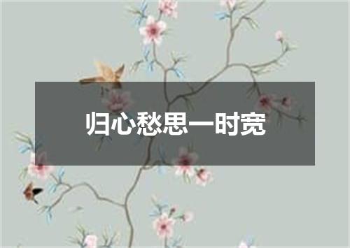 归心愁思一时宽