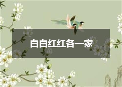 白白红红各一家