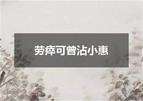 劳瘁可曾沾小惠
