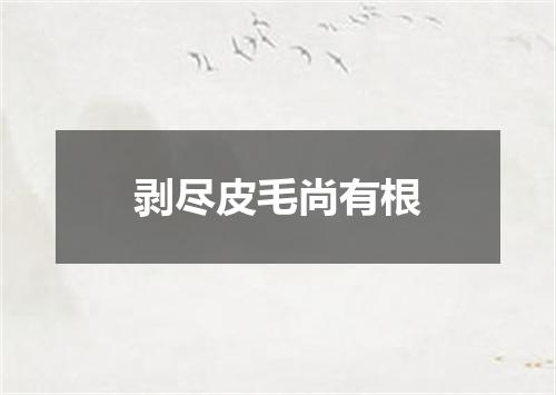 剥尽皮毛尚有根
