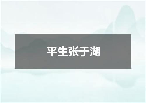 平生张于湖