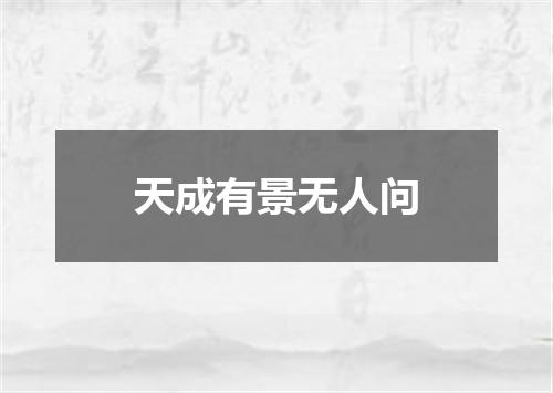 天成有景无人问