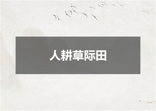 人耕草际田