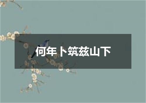 何年卜筑兹山下