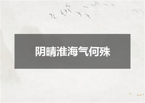 阴晴淮海气何殊