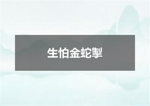 生怕金蛇掣