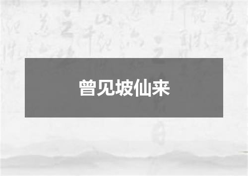 曾见坡仙来