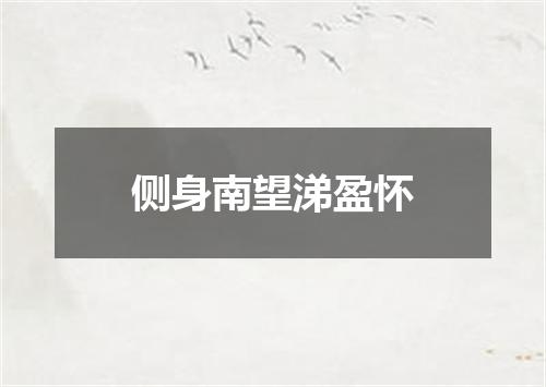 侧身南望涕盈怀