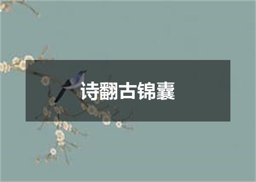 诗翻古锦囊