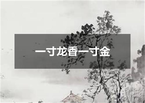 一寸龙香一寸金