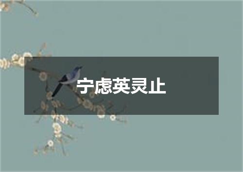 宁虑英灵止