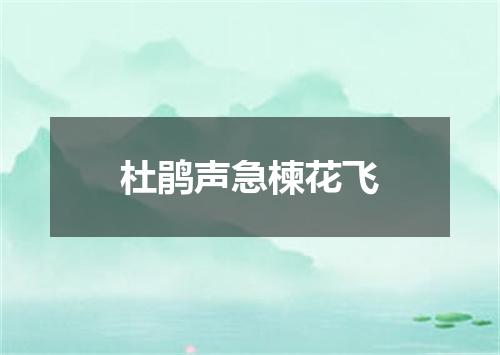 杜鹃声急楝花飞