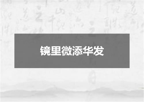 镜里微添华发