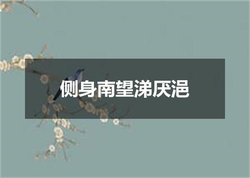 侧身南望涕厌浥