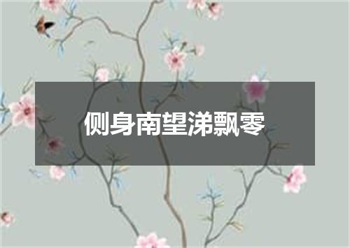 侧身南望涕飘零