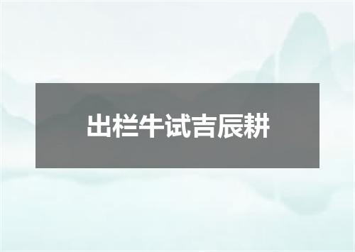 出栏牛试吉辰耕
