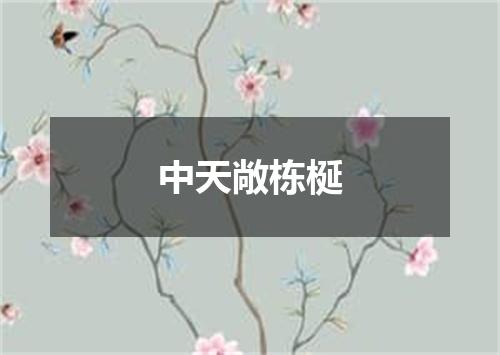 中天敞栋梴
