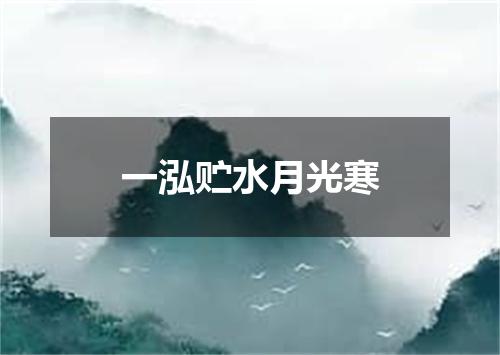 一泓贮水月光寒