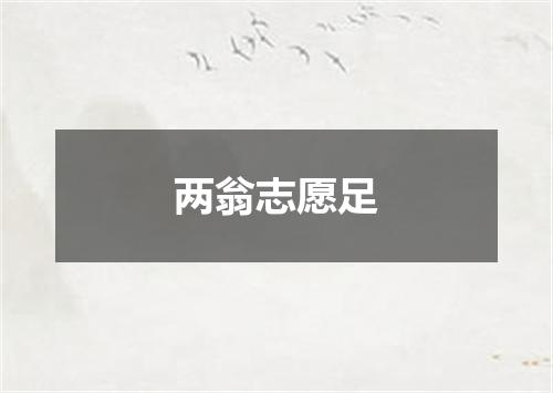 两翁志愿足