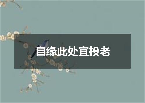 自缘此处宜投老