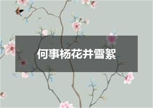 何事杨花并雪絮