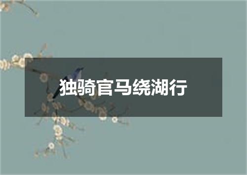 独骑官马绕湖行