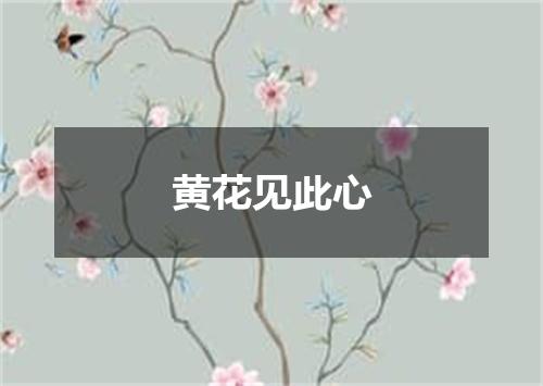 黄花见此心
