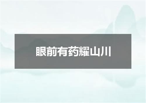 眼前有药耀山川