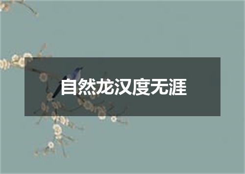 自然龙汉度无涯