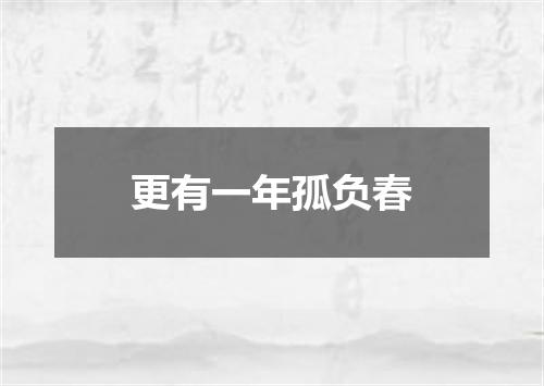 更有一年孤负春