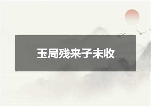 玉局残来子未收
