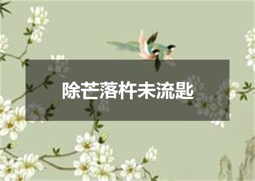 除芒落杵未流匙