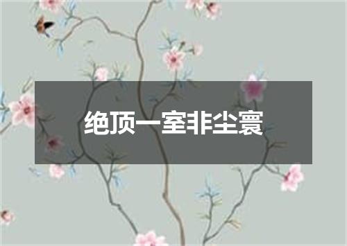 绝顶一室非尘寰