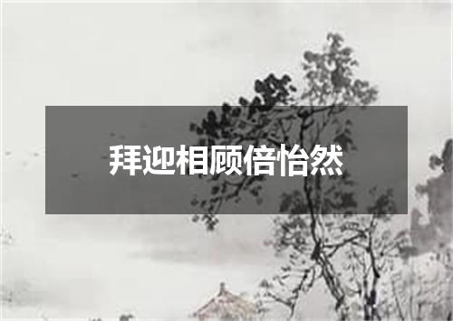 拜迎相顾倍怡然