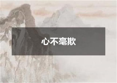 心不毫欺