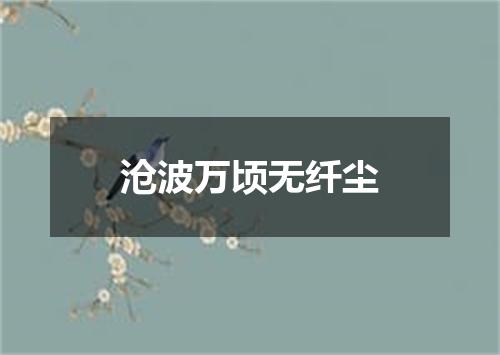 沧波万顷无纤尘