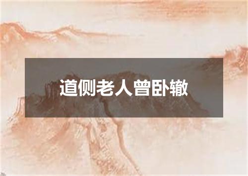 道侧老人曾卧辙