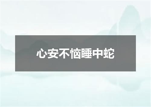 心安不恼睡中蛇