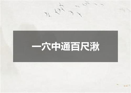 一穴中通百尺湫