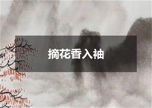 摘花香入袖