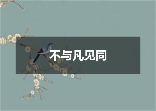 不与凡见同