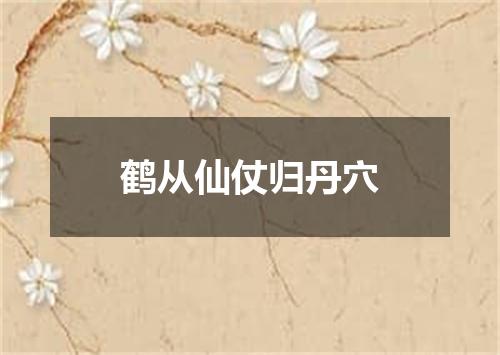 鹤从仙仗归丹穴