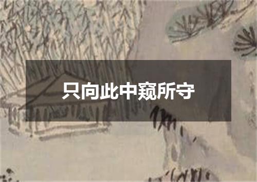只向此中窥所守