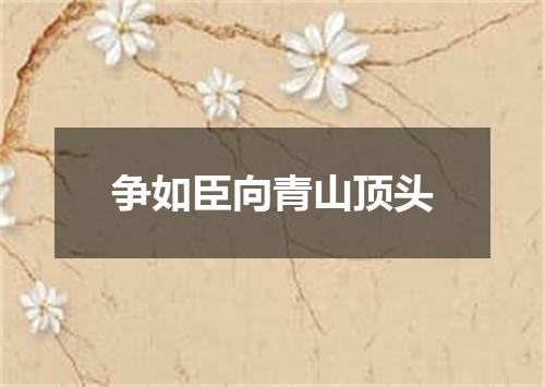 争如臣向青山顶头