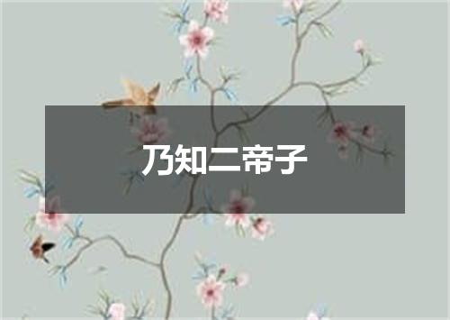 乃知二帝子