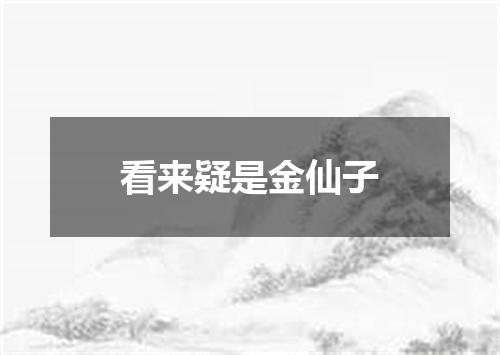 看来疑是金仙子